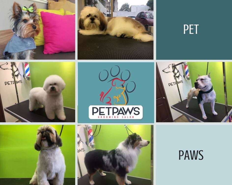 Grooming | Petpaws Grooming Salon