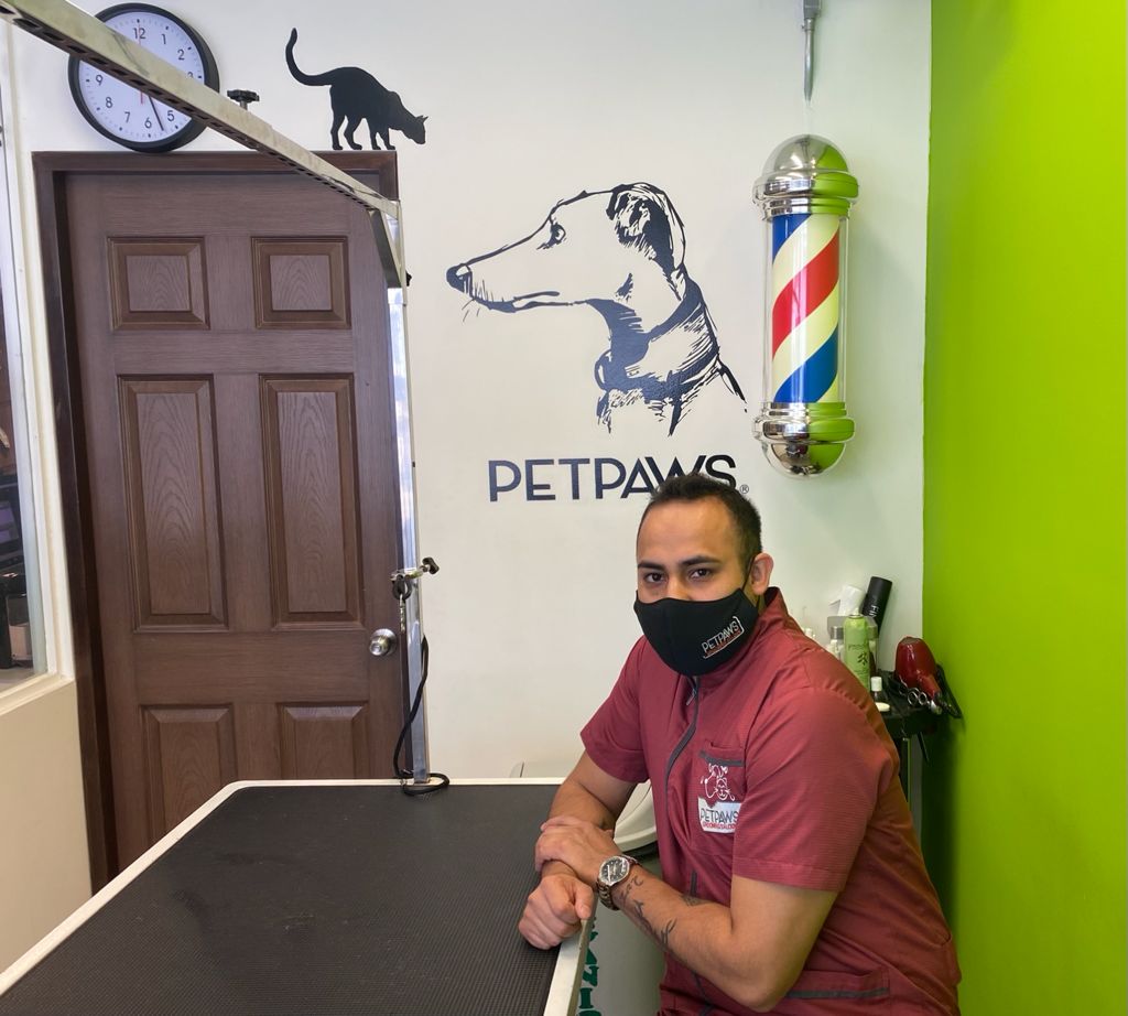 Grooming | Petpaws Grooming Salon